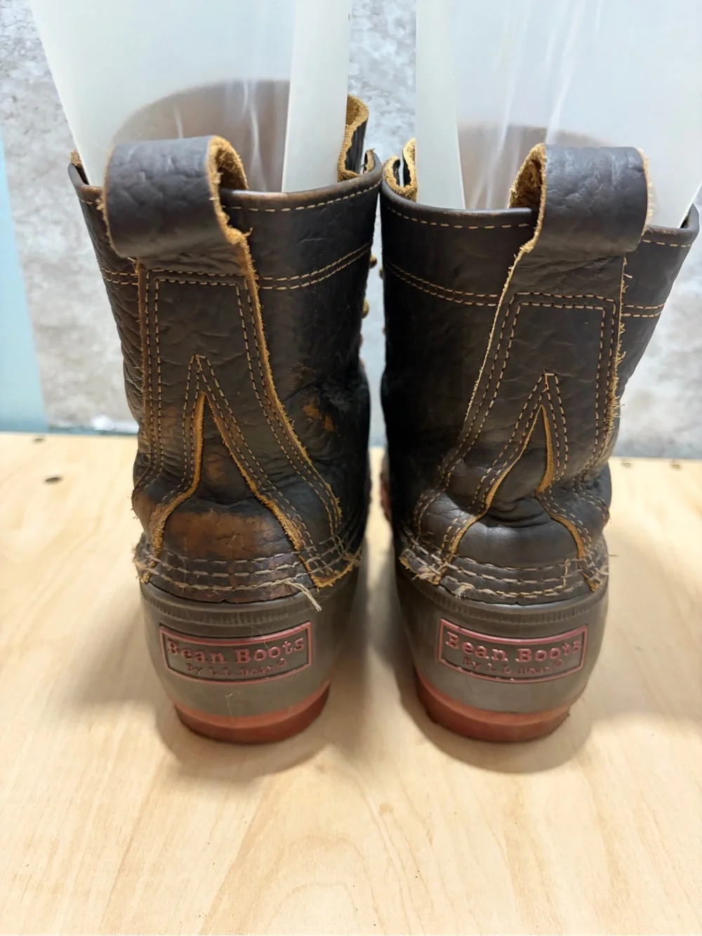 L.L. Bean 8